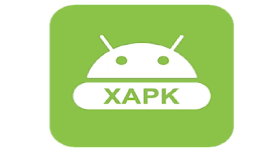 How to Install an XAPK File on Android?